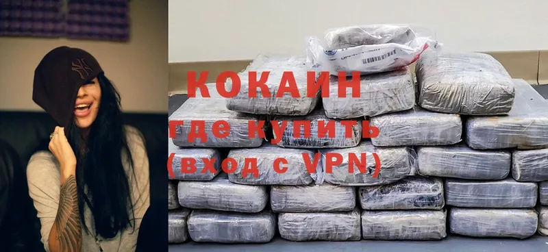 купить наркотик  Билибино  МЕГА как зайти  Cocaine Fish Scale 